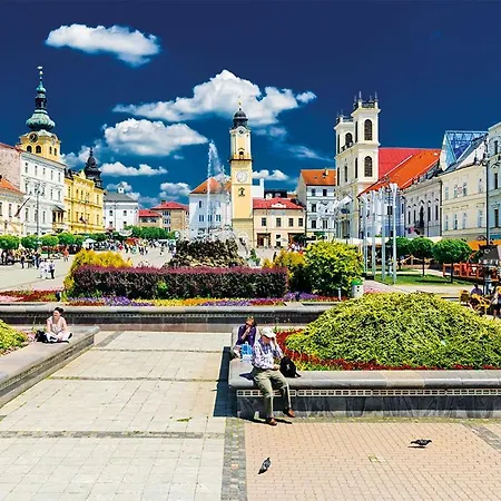 Central, Self Check In 24 H, Free Parking Lägenhet